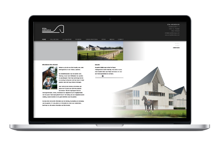 stalarcadia_web-1