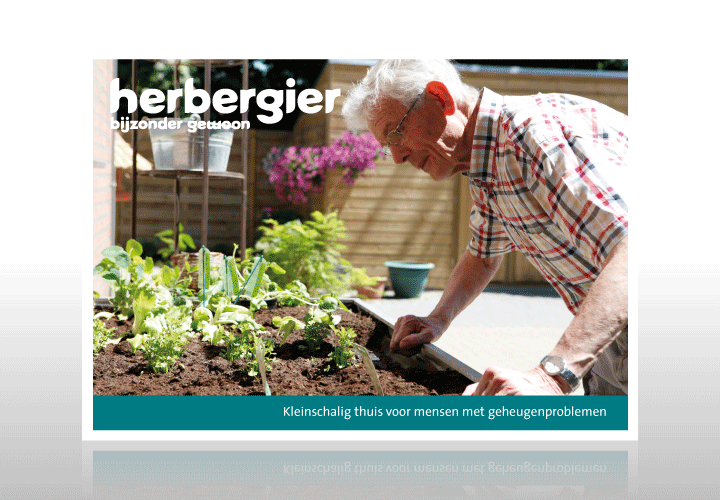 ddn_brochures_zorgfomules-1